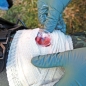 Preview: OLAES Bandagen Traumabandagen 15 cm x 3 m, 10 Stück