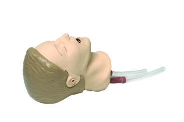 Resusci® Anne Airway Trainer Update Kit