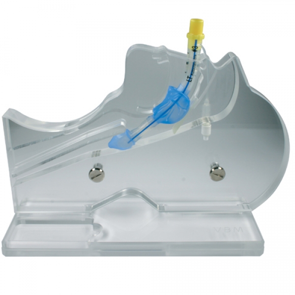 VBM Transparenter Kopf für Larynx-Tuben Gr. 3,4