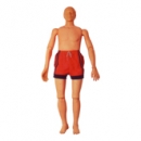 CPR Wasserrettungspuppe